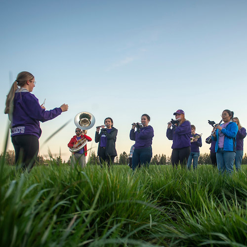 The band performing in a field at art event