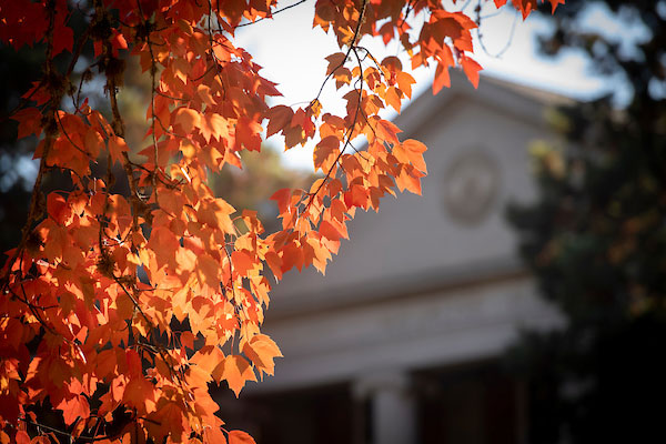 The top of Melrose Hall seen through red tree leaves.