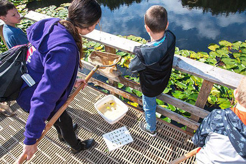 Rusty Rae/News-RegisterMac High graduate Jackie Bravo, one of several Linfield education majors helping with the Miller Woods field trip, dips water out of the pond for Colton Johnson, right, and Eddie Purchase to examine.