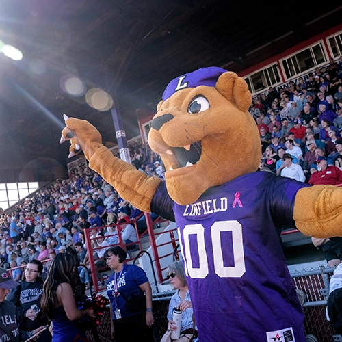 Mack the Wildcat cheering at a football game.