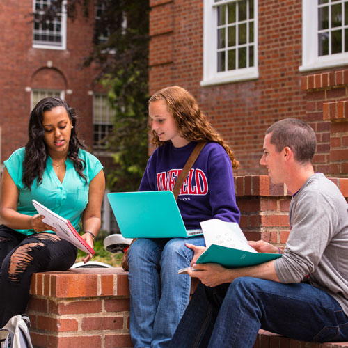 Students studying outside TJ day