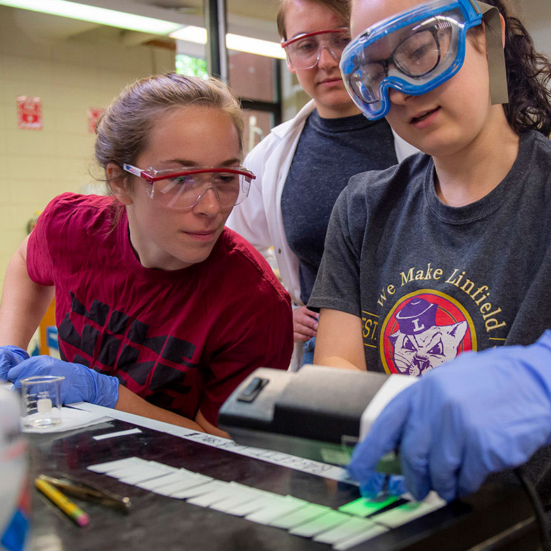 students conducting chemistry summer research