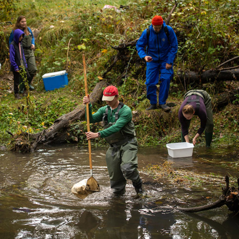 Environmental studies students conducting research in a pond