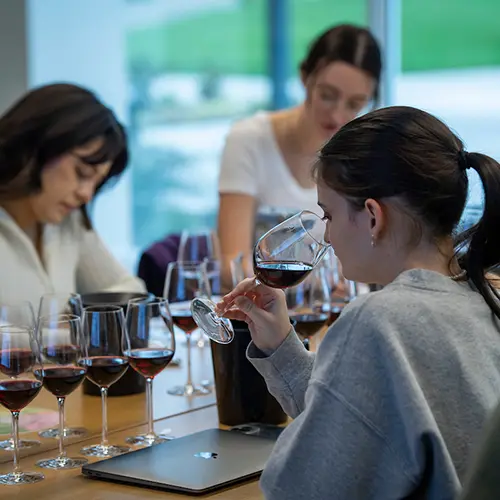 students examining wine in a classroom.