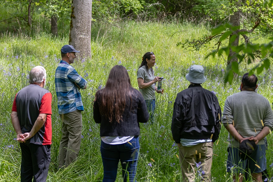 A group of people walking through the camas field at Cozine Creek.