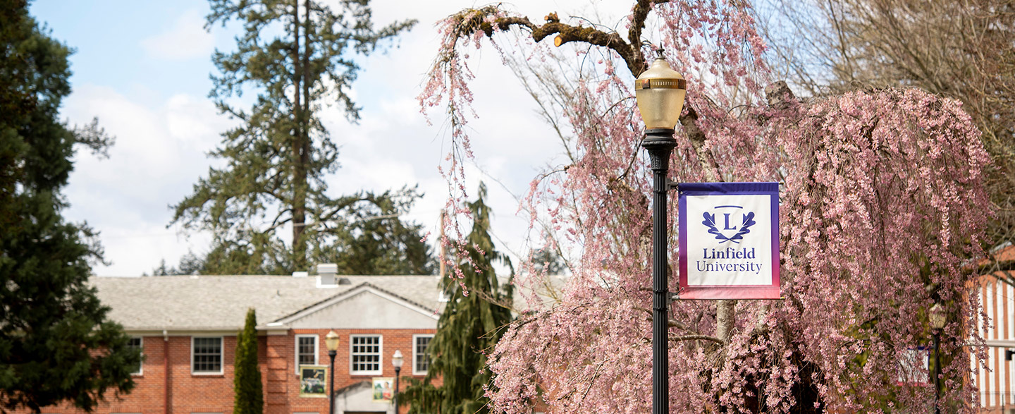 A view of Taylor Hall from the academic quad with cherry blossoms in bloom.