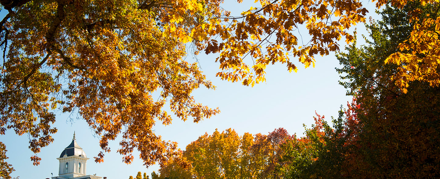 The top of Pioneer Hall through the Oak Grove trees