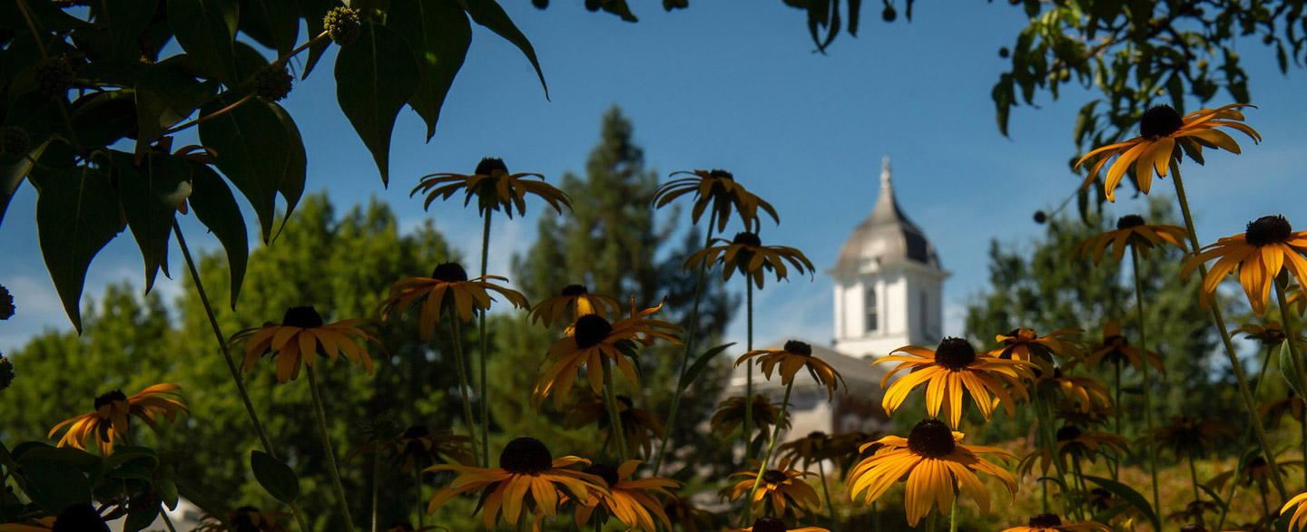 Flowers in bloom with Linfield's historic Pioneer Hall in the background.