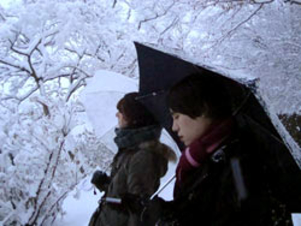 Snow in Japan