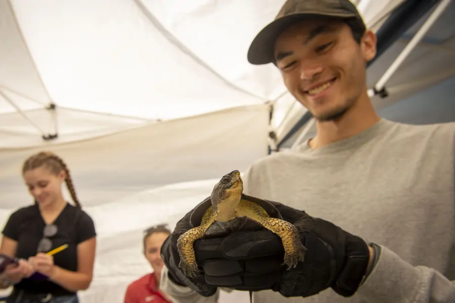 Student holds up a turtle.