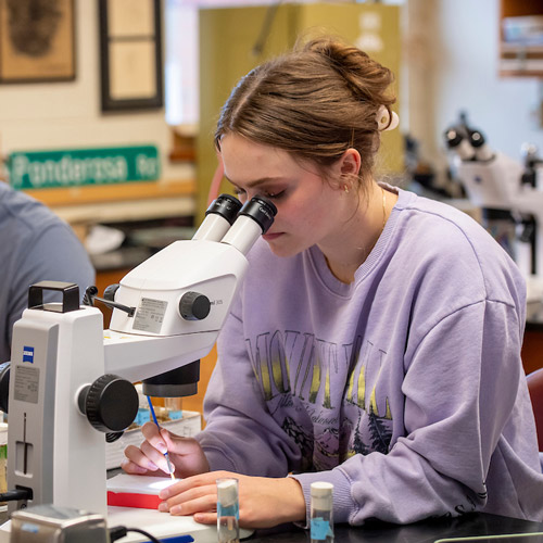 Female student in lab looking through a microscope.
