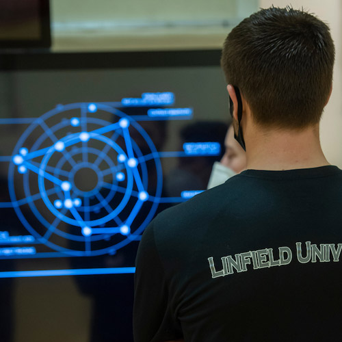 Graduate student analyzing data on a monitor.