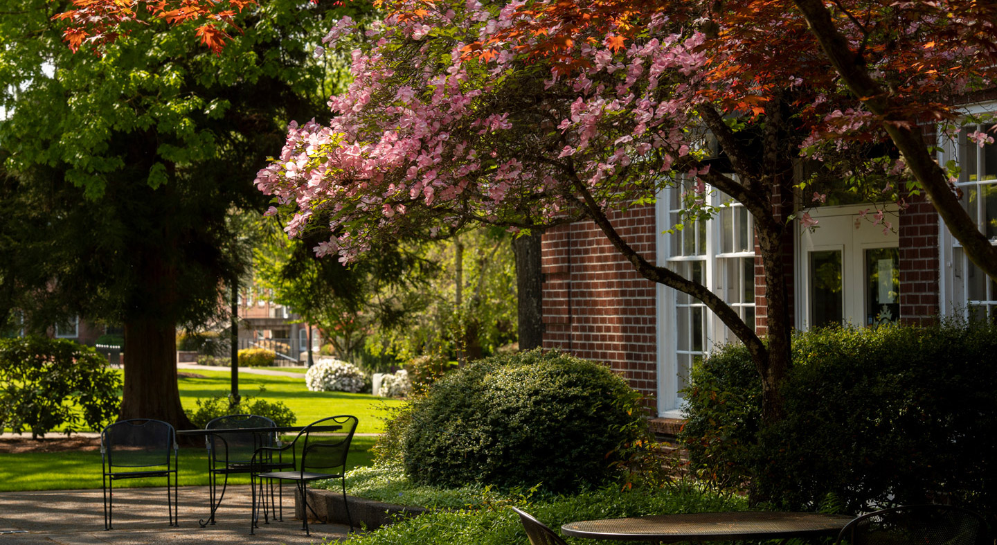 the courtyard outside of Riley Hall in the spring