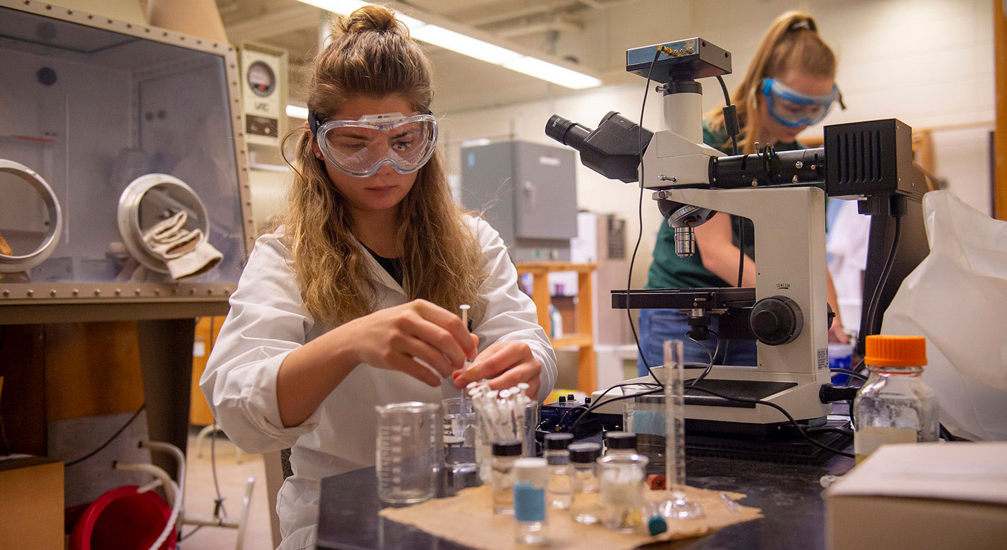 Chemistry collaborative summer research