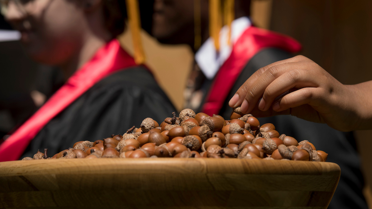 acorn bowl at commencement