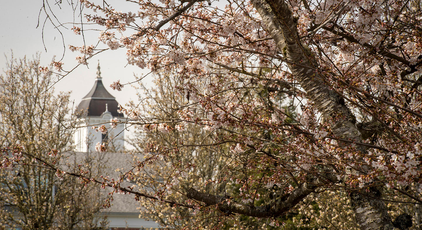Pioneer Hall through trees in spring bloom