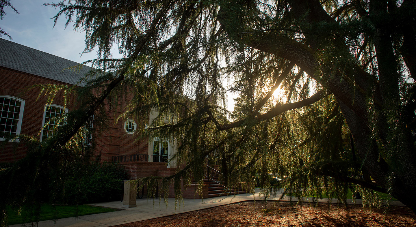 the front of T.J. Day Hall in the early morning sun