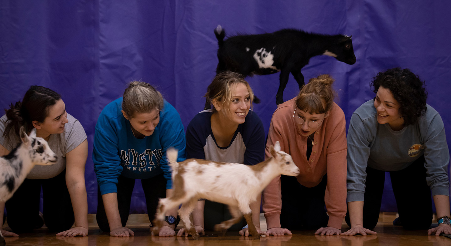 Five nursing students with three goats during goat yoga on the Portland campus.
