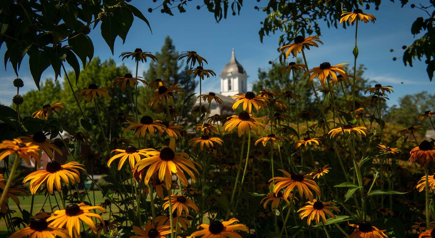 a view of Linfield University's historic Pioneer Hall on the McMinnville campus through flowers