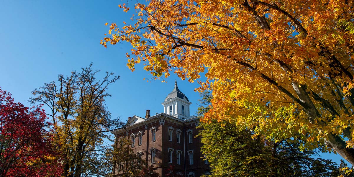 The top of Pioneer Hall with bright blue sky framed by fall colored leaves.