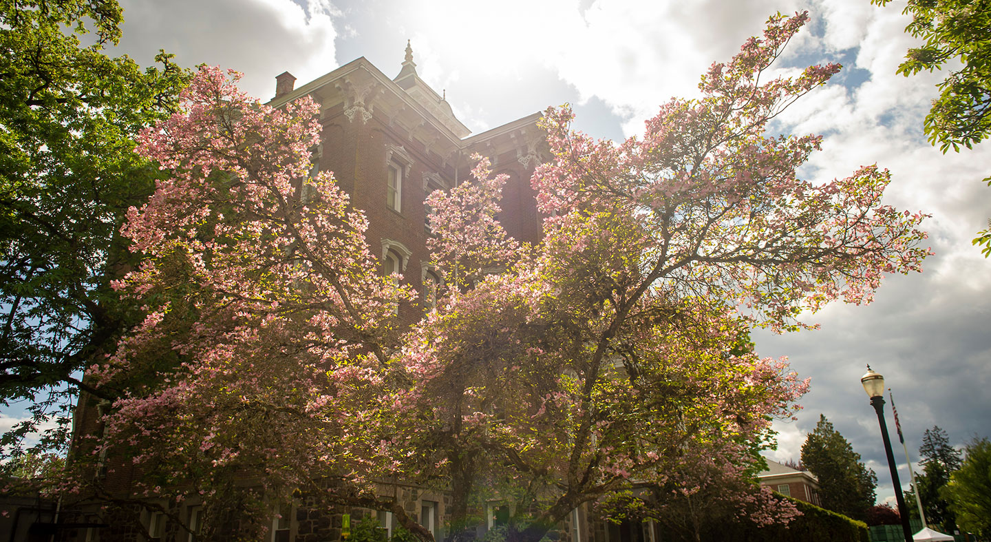 sunlight shining over the top of Pioneer Hall