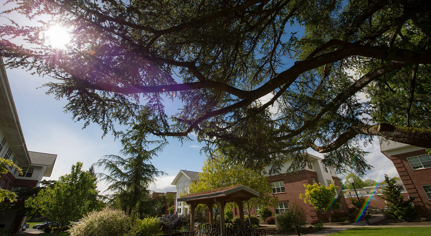 view of the residence halls on Linfield's McMinnville campus