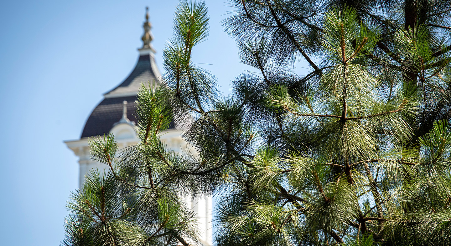 Pioneer Hall seen through the pine needles on a tree