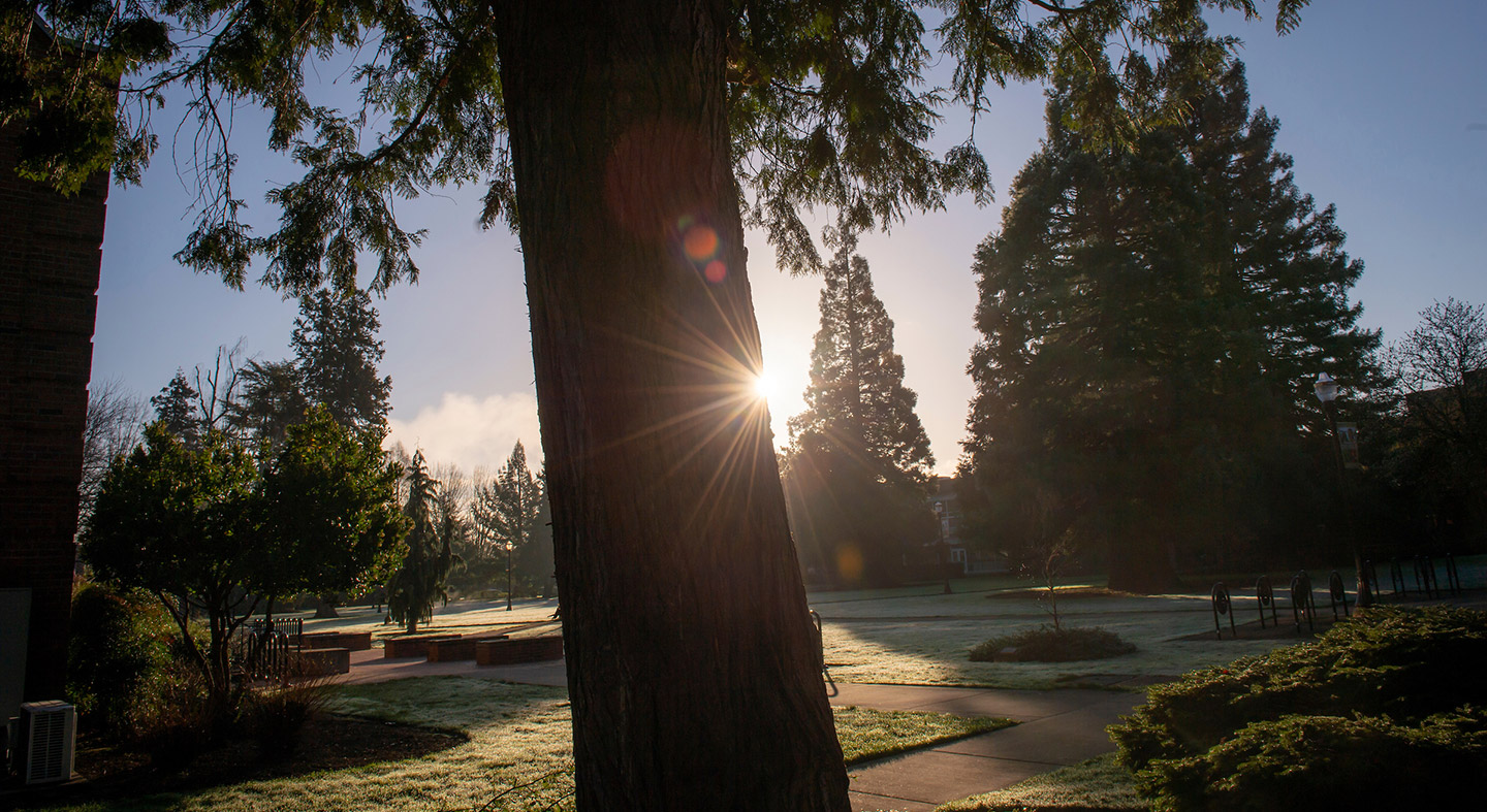A view of the Linfield University McMinnville Campus academic quad on an early winter morning with the sun shining.