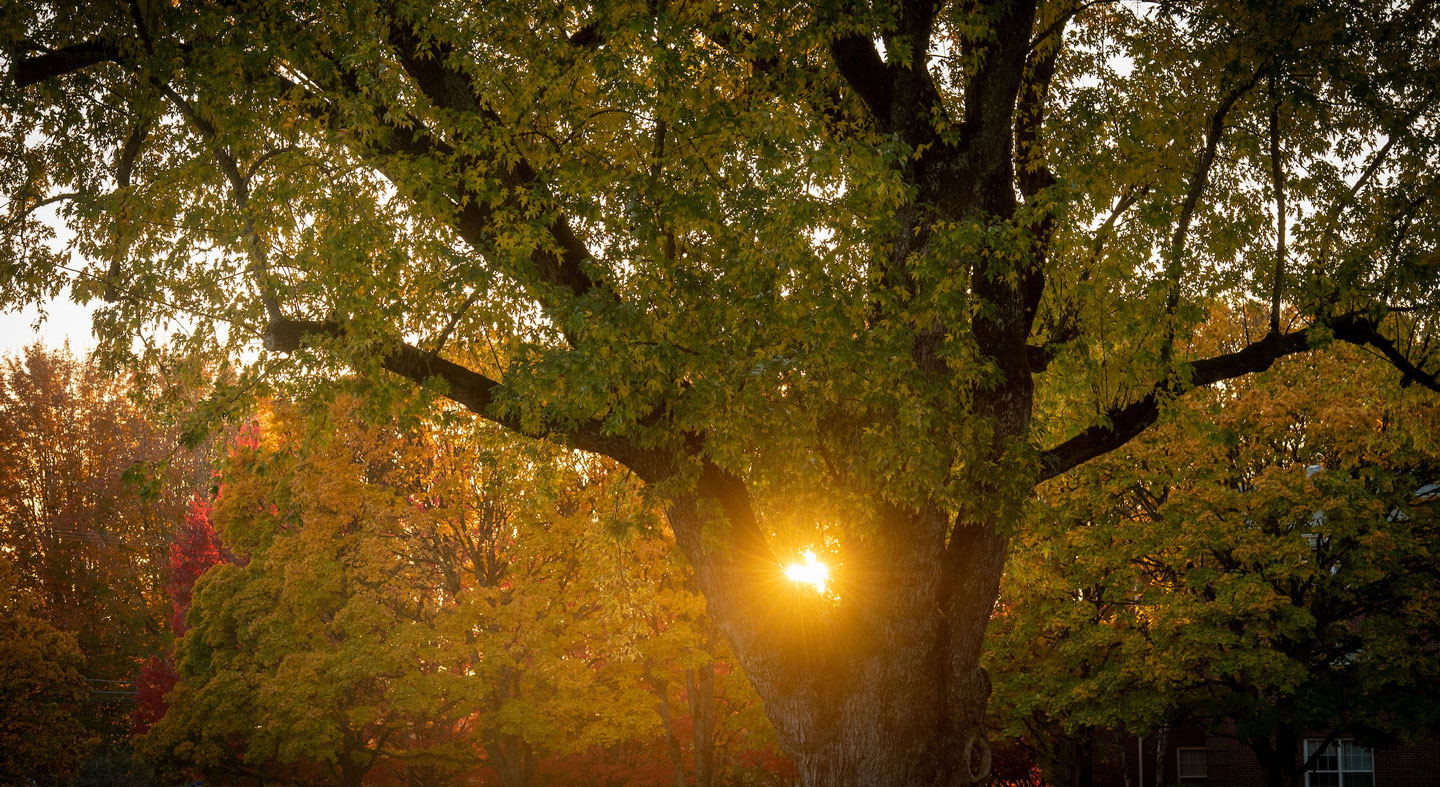 McMinnville campus on an early fall morning