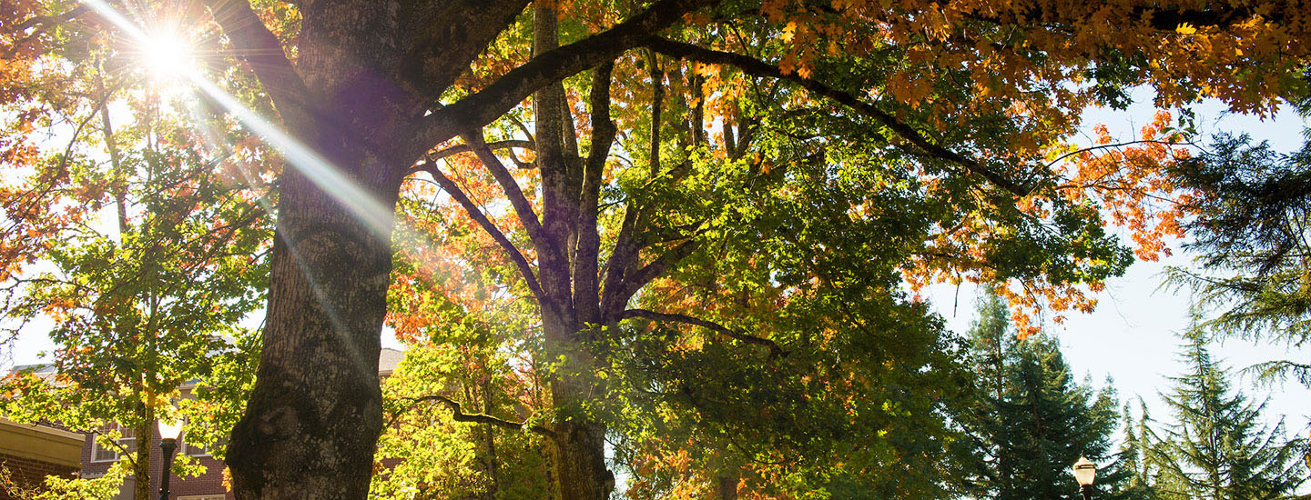 scenic path outside Walker Hall