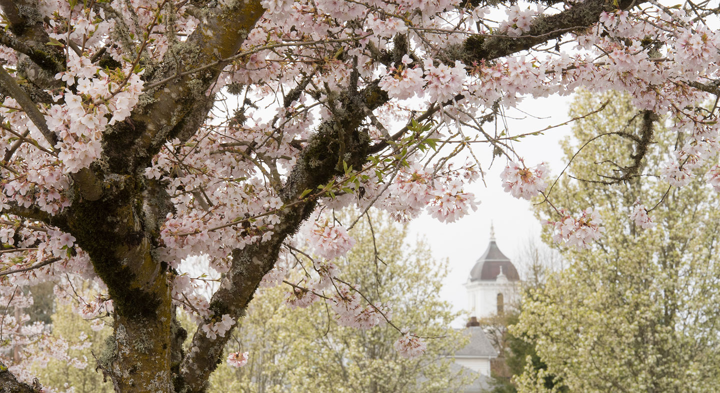 McMinnville Campus in spring bloom