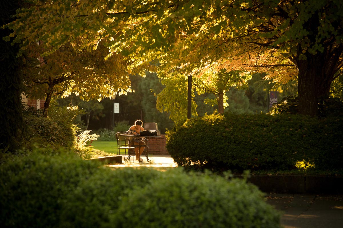 Student Studying