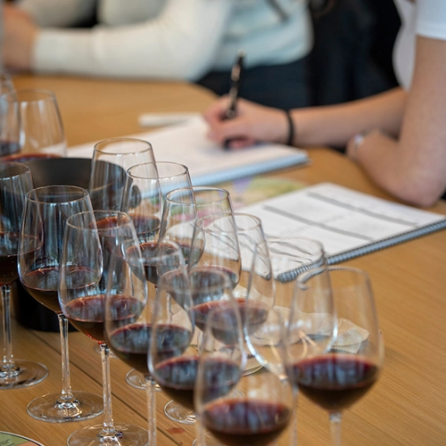 glasses of wine in a wine education class.