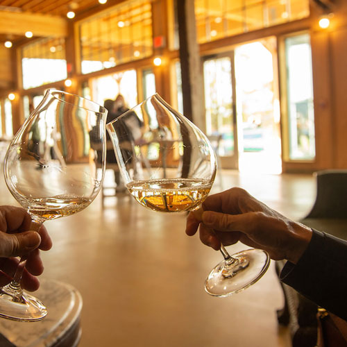 Oak and Vine tasting