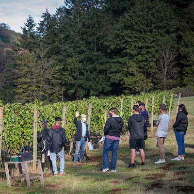 Students in a Yamhill Valley vineyard.