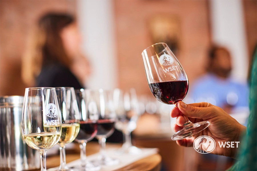 a hand holding a wine glass with WSET etched into the side.