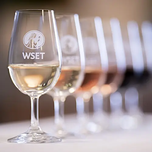 wine glasses showing the WSET logo.