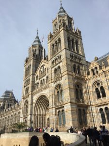 The London Natural History Museum