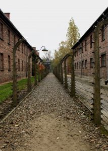 The barbwire fence around Auschwitz.