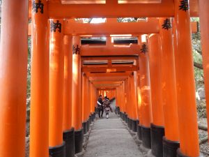Inside Fushimi Inari Torii