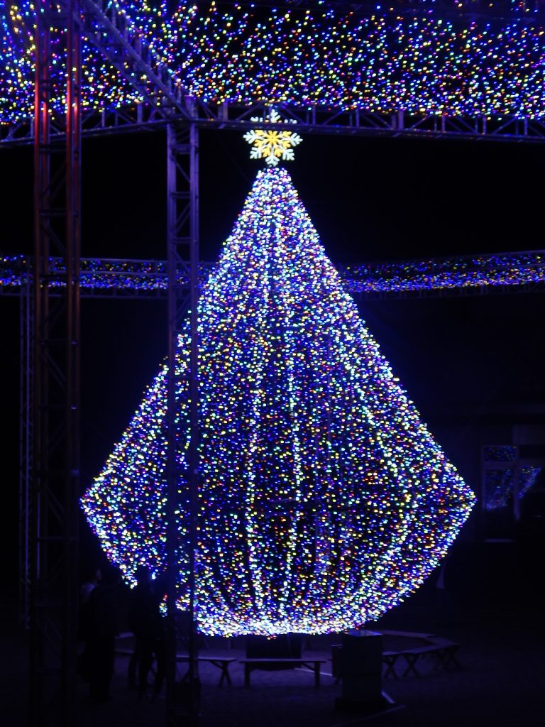 Christmas tree at Sea Paradise Illumination