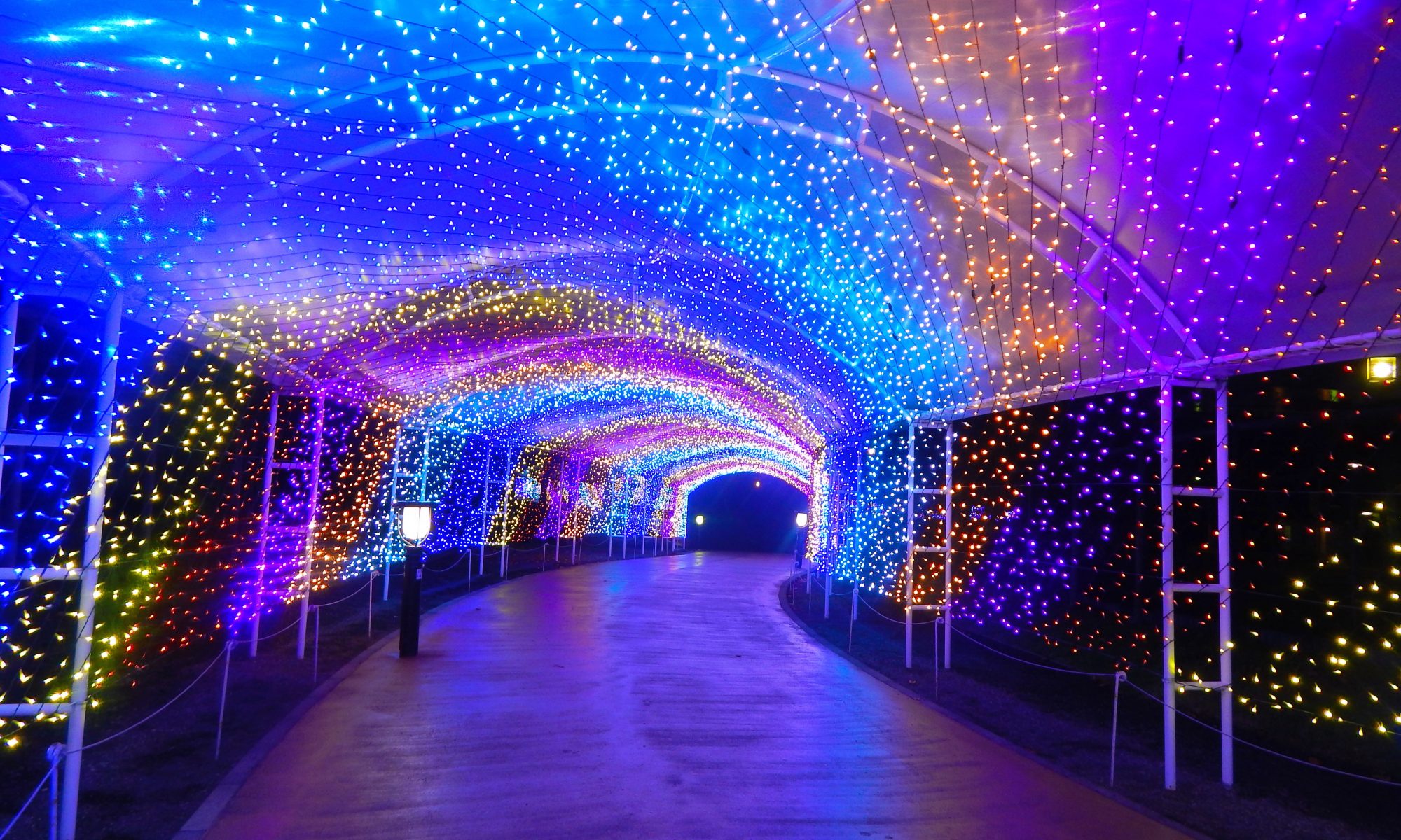 Light tunnel at Sea Paradise Illumination