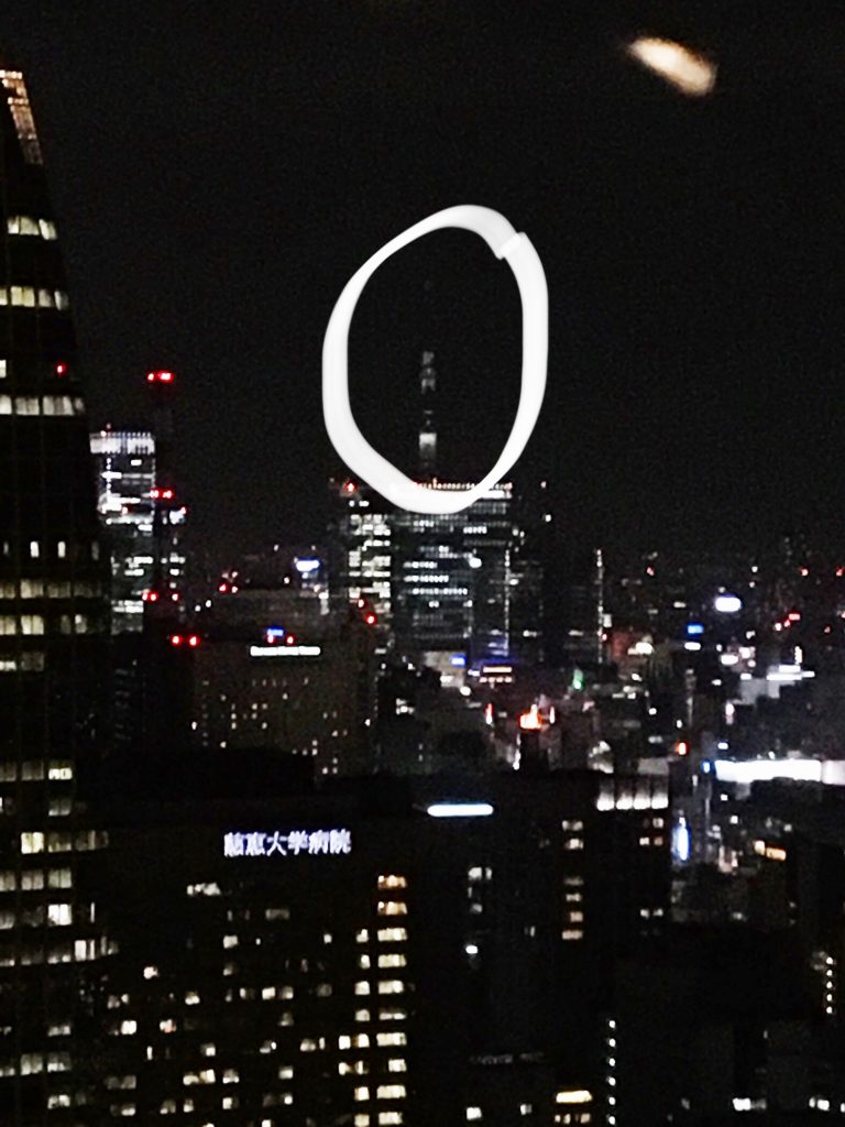 View of Tokyo Skytree from a distance (circled in white)