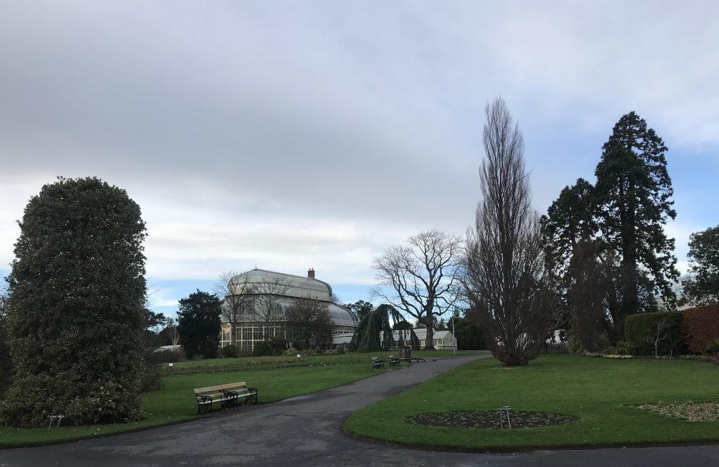 The grounds at the National Botanic Gardens in Dublin