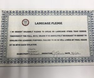 A picture of our language pledge