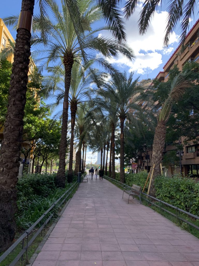 A cobblestone path in Valencia surrounded by greenery and palm trees against a sunny blue sky.