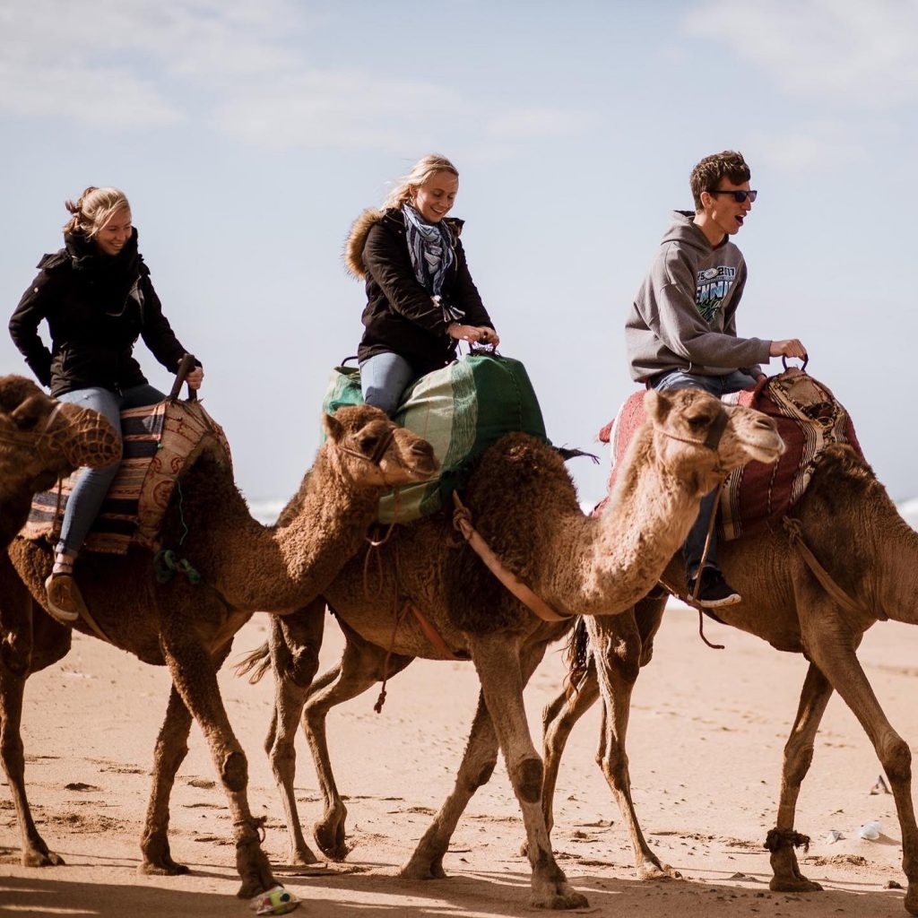 3 students riding camels.