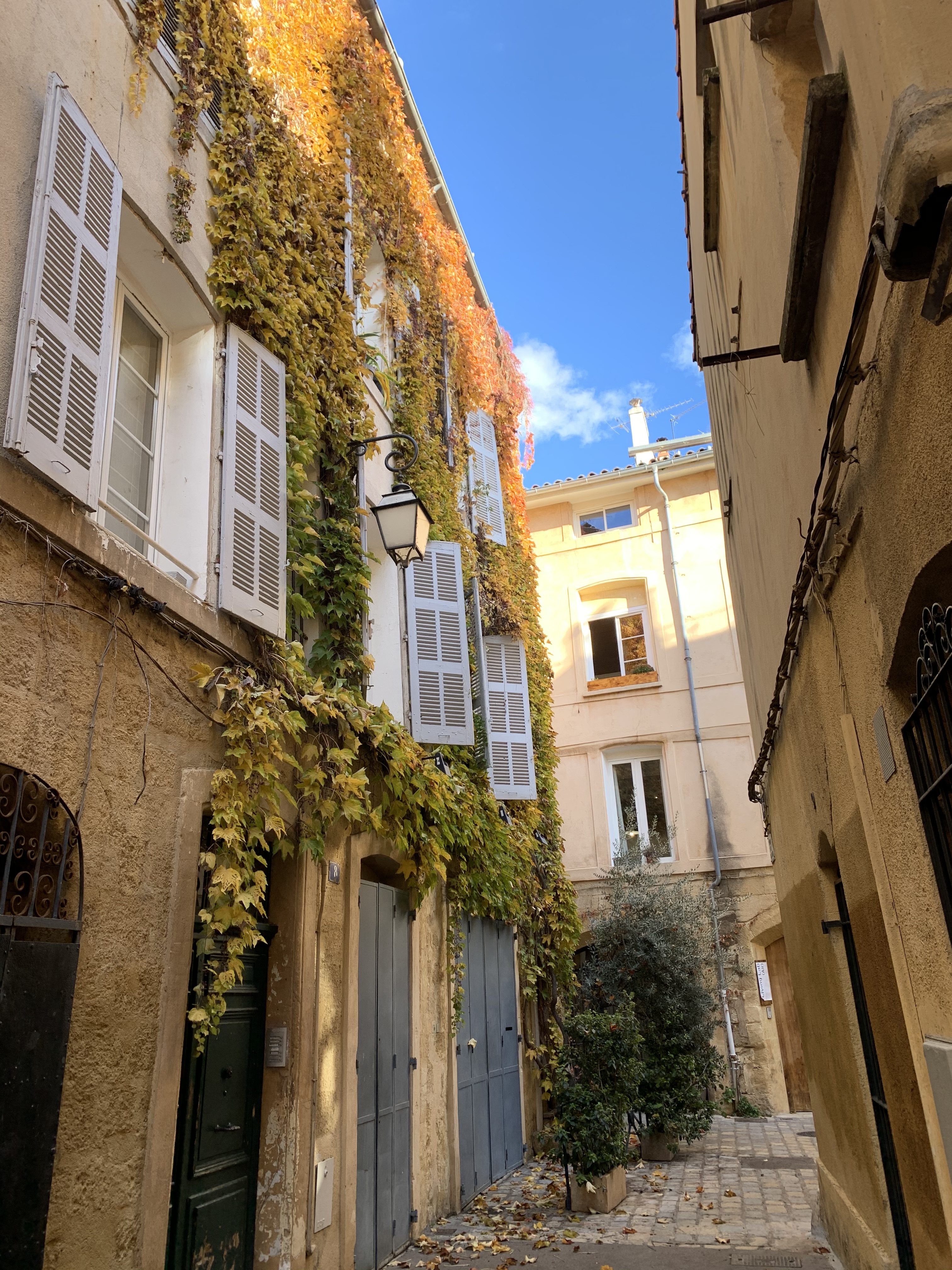 A narrow street in Aix, France, with windows lined with greenery
