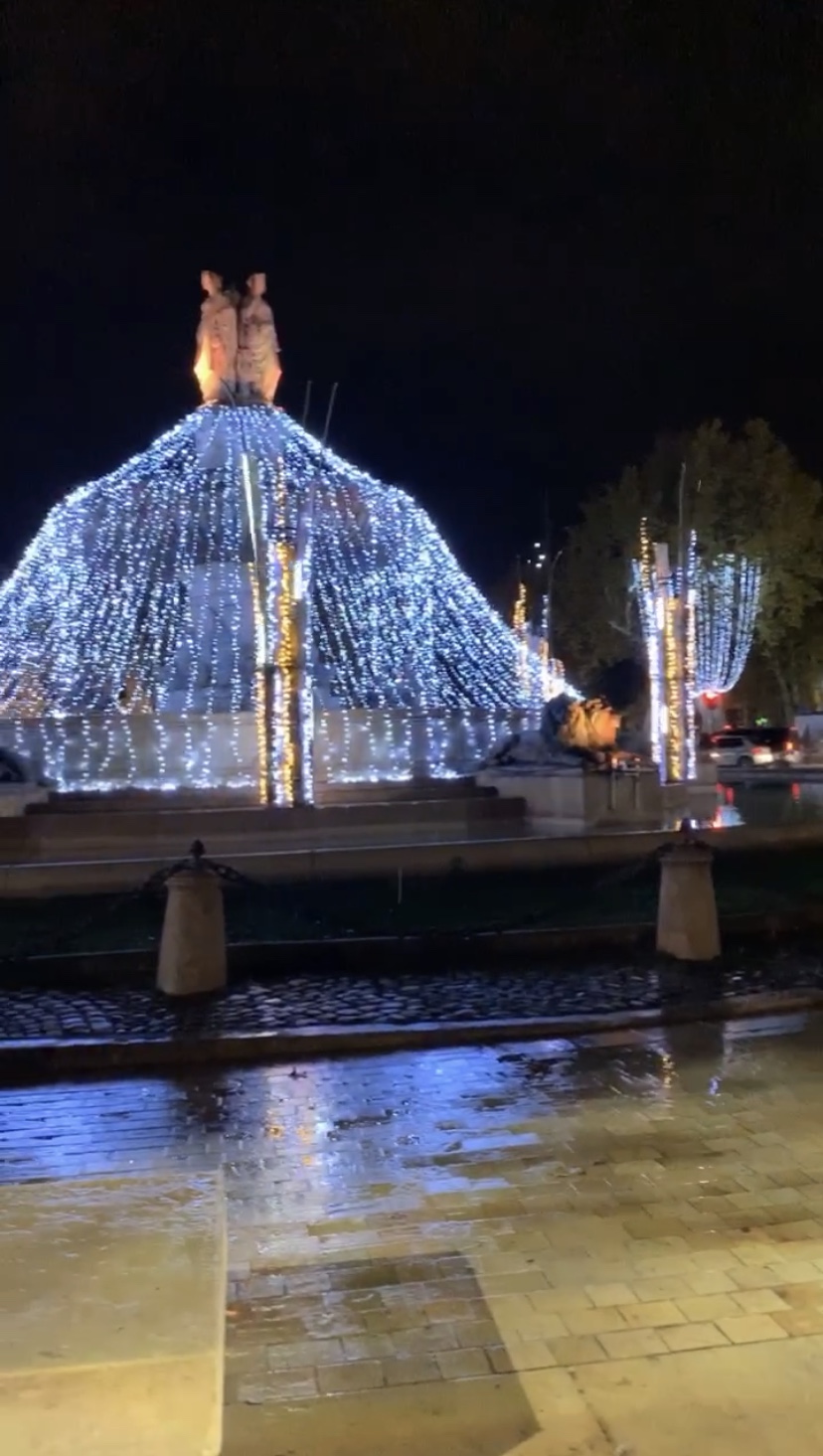 Lights shaped like trees on the Rotonde in Aix