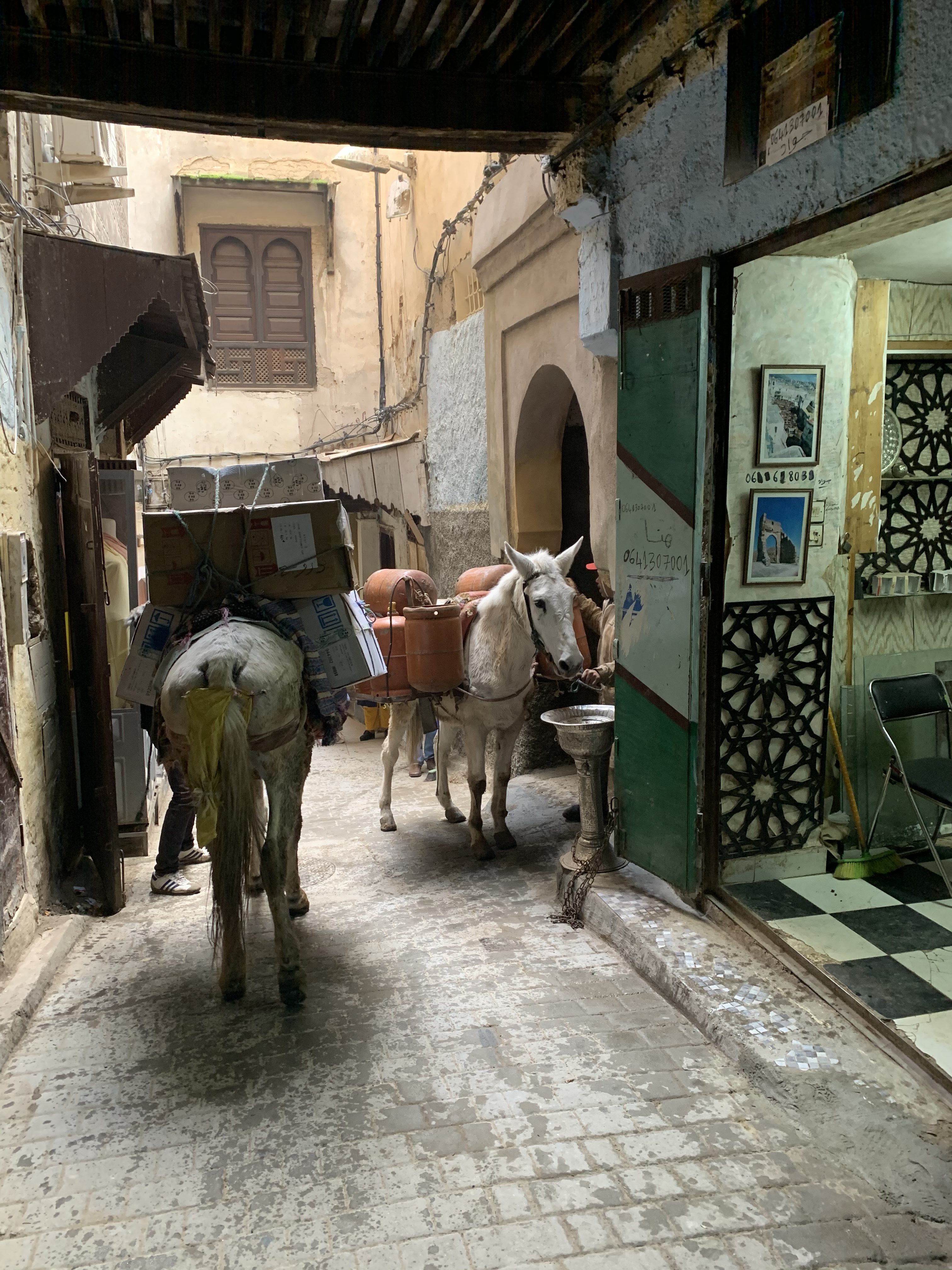 Donkeys going through the streets of Medina